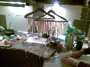 20090419(016)