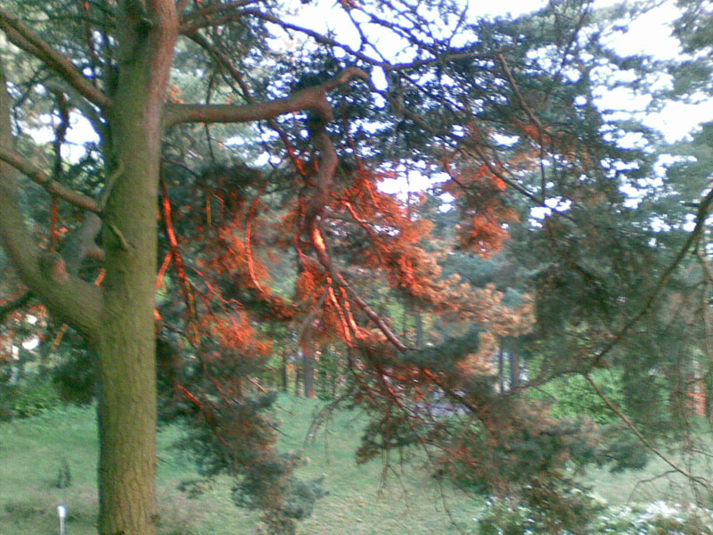 20090508(001)