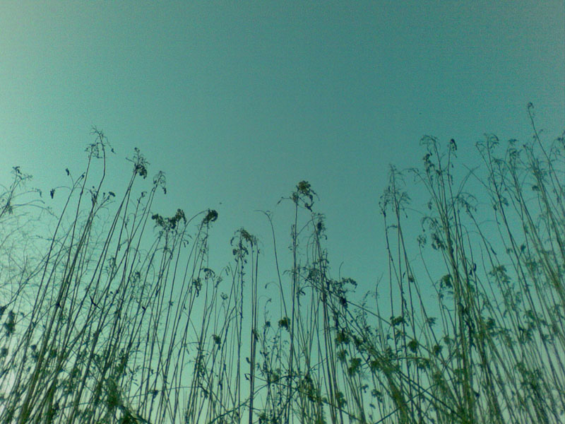 20090509(000)