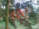 20090508(001)
