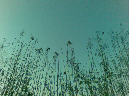 20090509(000)