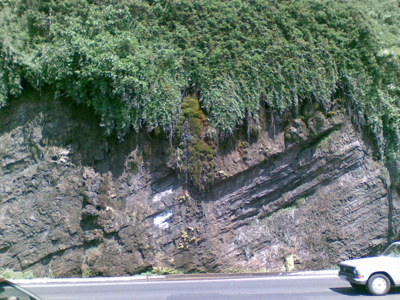 20090515(002)
