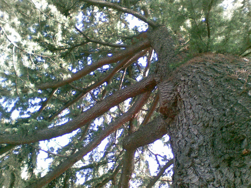 20090518(012)