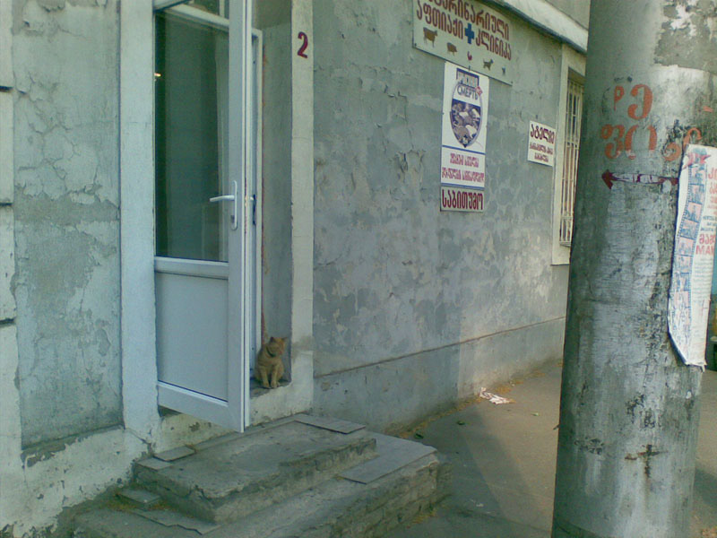 20090519(001)