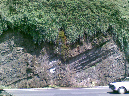 20090515(002)