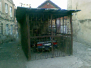 20090519(010)