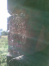 20090530(008)